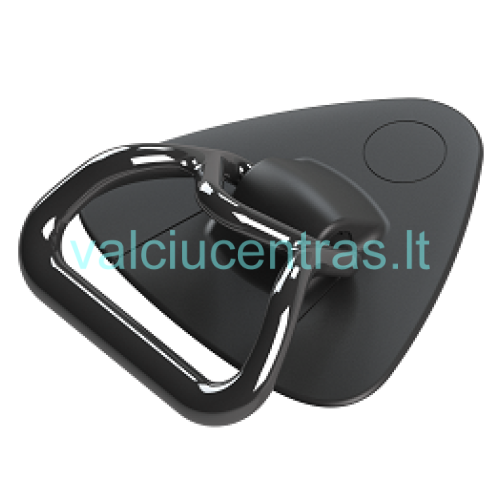 Borika klijuojama buksyravimo - nešimo kilpa Borika klijuojama buksyravimo - nešimo kilpa